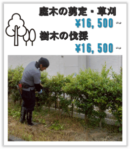 樹木